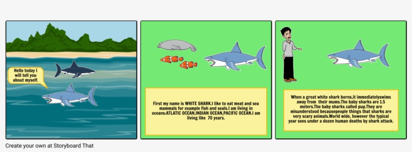White Sharks Misunderstood Animals - Water, transparent png
