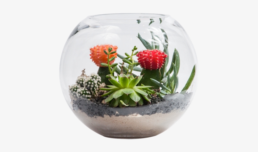 Terrarium Fish Bowl - Wood Carving, transparent png