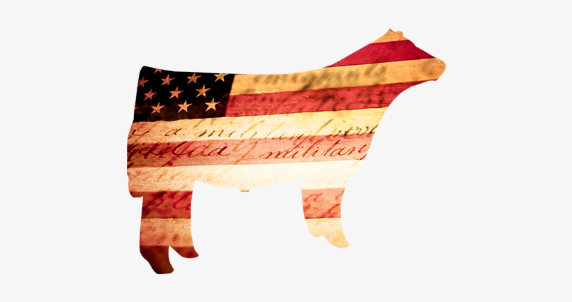 Happy 4th Of July - Livestock 4th Of July, transparent png
