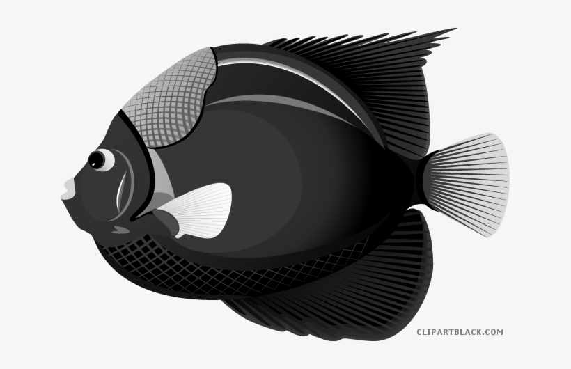 Clip Art Stock Clipartblack Com Animal Free Black White - Tropical Fish, transparent png