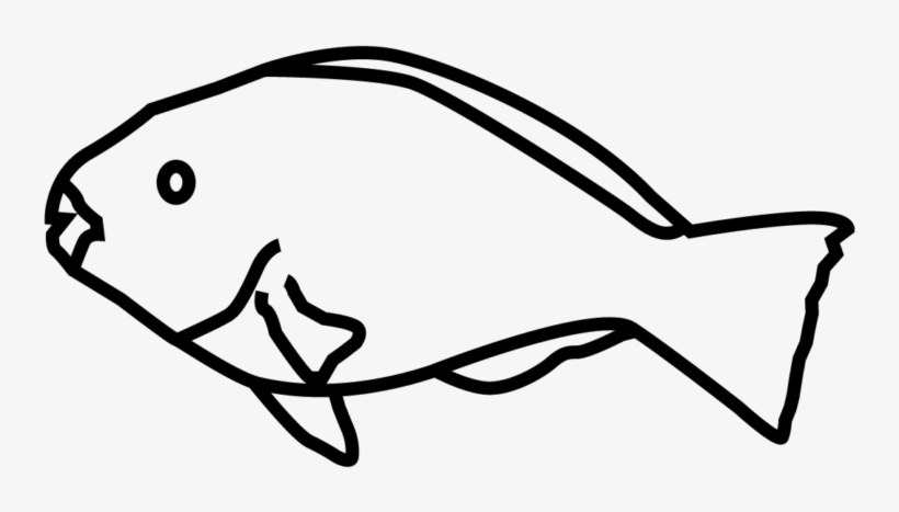 Tropical-fish - Coral Reef Fish, transparent png