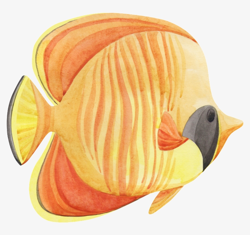 Hand Painted A Tropical Fish Png Transparent - Portable Network Graphics, transparent png