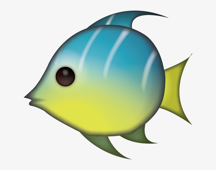 Download Ai File - Kyushu, transparent png
