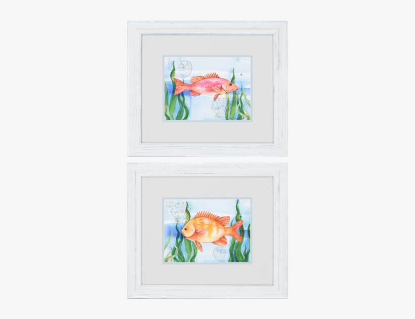 Ocean Reef Pk/2 - Distressing, transparent png