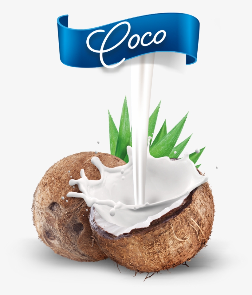 Nuevo Coco Mestre - Feelfree Nutrition Protein Porridge - Coconut 100g, transparent png