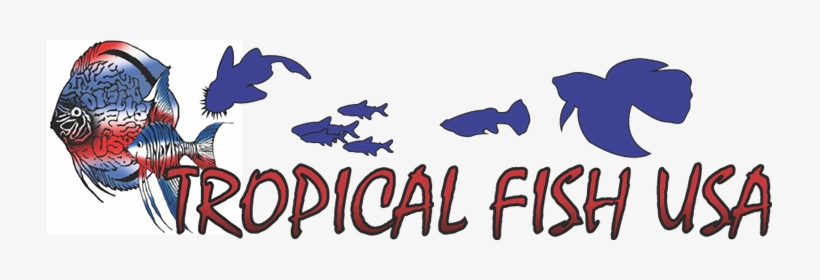 Tropical Fish Usa - Discus, transparent png