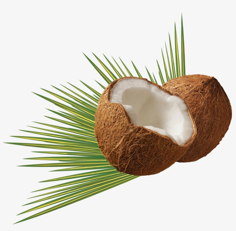 L'huile De Coco Est Votre Meilleure Amie - Coconut Png, transparent png