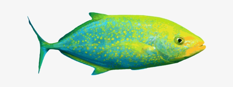 Marine Fish Clipart Tropical Fish - Salt Water Fish Clipart, transparent png