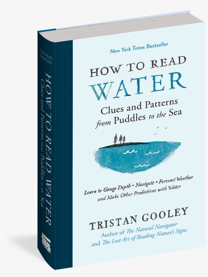 How To Read Water - Read Water: Clues, Signs & Patterns From Puddles, transparent png