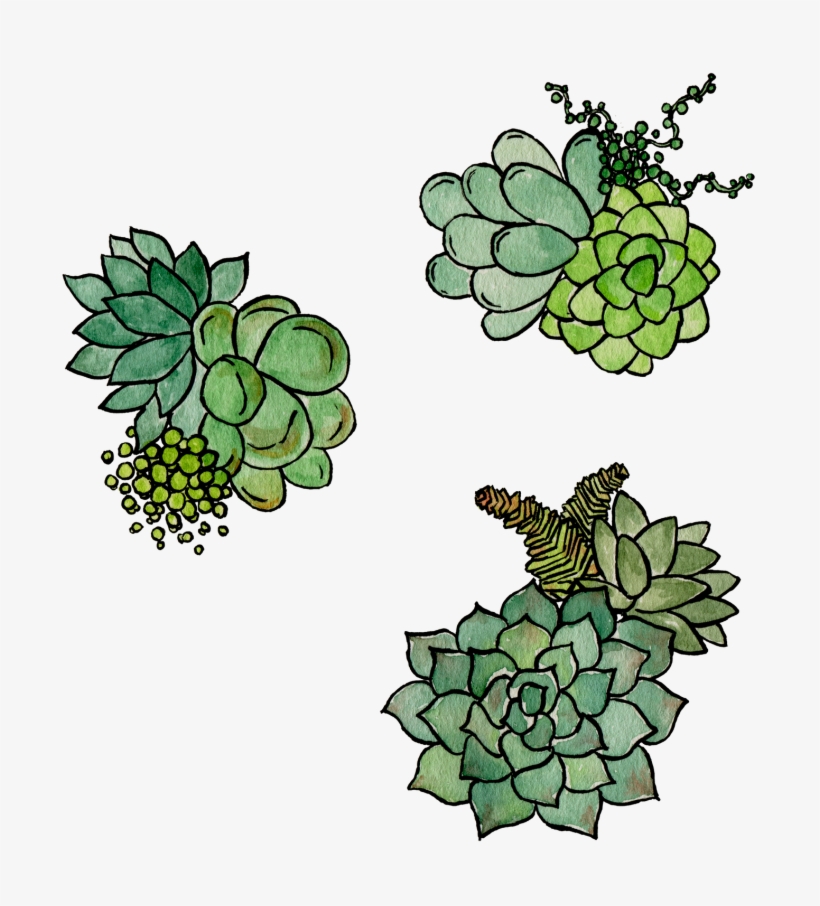 Succulentpattern001 Final - Unisex, transparent png
