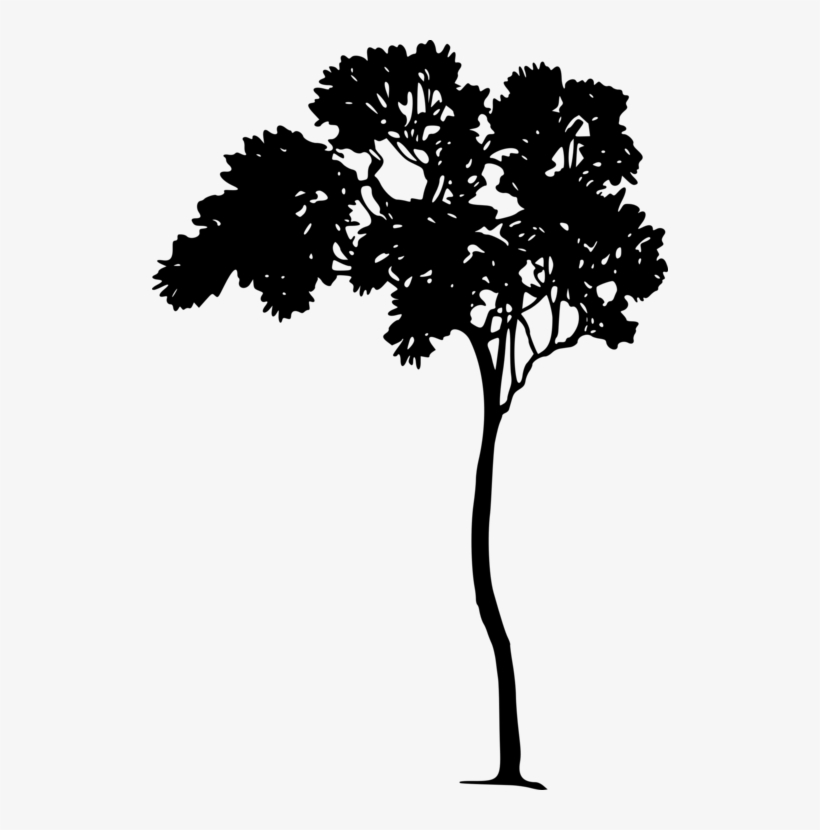 Shakespeare's Comedy Of A Midsummer-night's Dream Illustrator - Midsummer Night's Dream Clipart, transparent png
