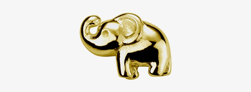 Gold Elephant - Lucky Charm - Indian Elephant, transparent png