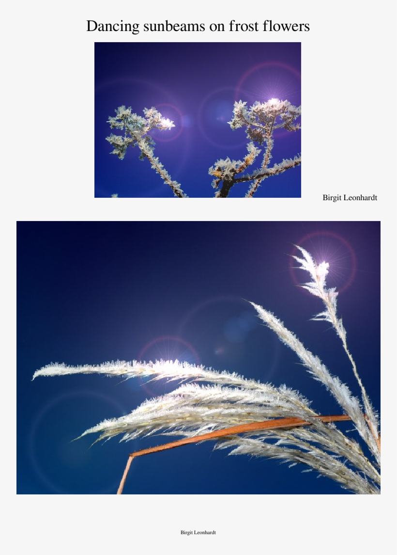 Dancing Sunbeams On Frost Flowers Sheet Music Composed - Graphic Design, transparent png