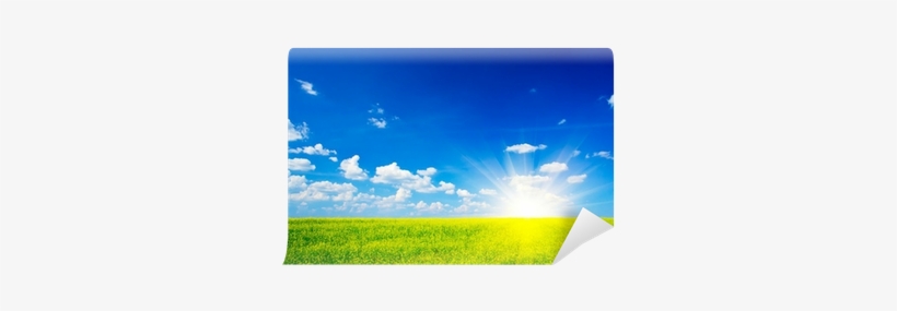 Wonderful Rapefield And Cloudscape With Sunbeams - Graphic Design, transparent png