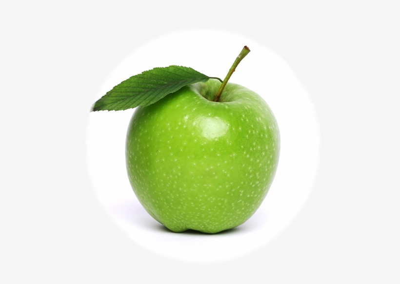 Stem Png, transparent png