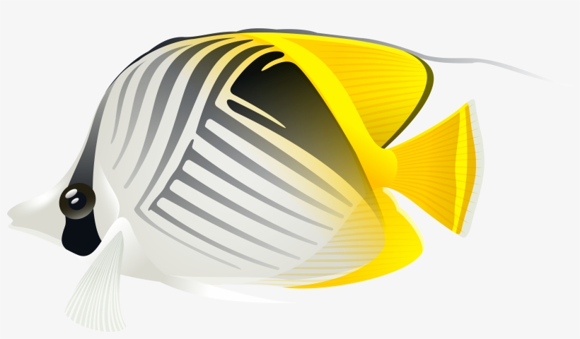 Aquarium Fish Png Clip Art Image - Portable Network Graphics, transparent png