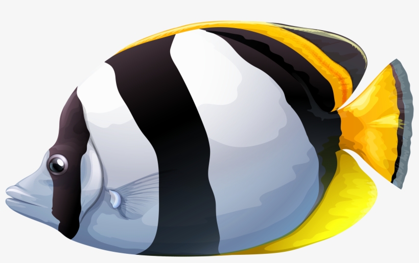 White Chaetodon Butterfly Fish Png Clipart - Butterfly Fish Clip Art, transparent png
