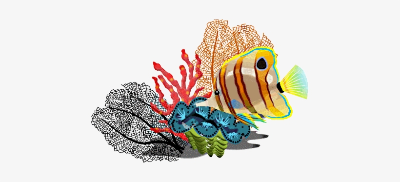 Free Fish Clipart Tropical Fish Star Fish Cartoon Fish - Free Tropical Fish Clip Art, transparent png