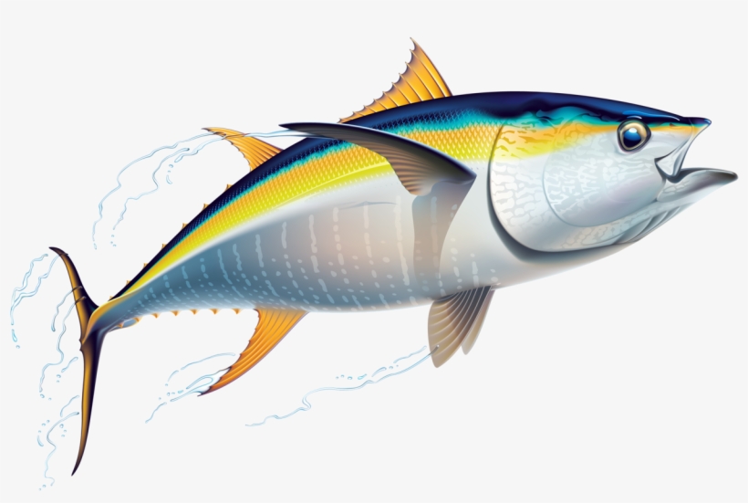 Marine Fish Clipart Australian Fish - Tuna Clip Art, transparent png