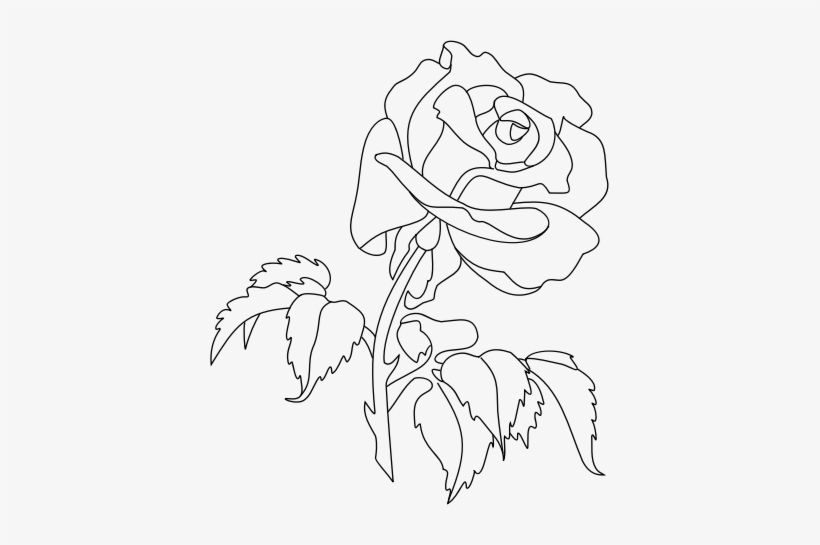 Medium Image - Rose Line Art Png, transparent png
