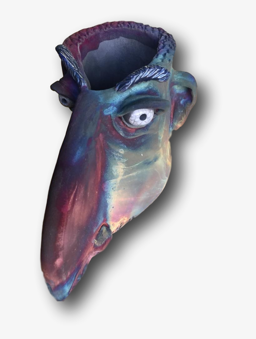 Leonidus Swimming Heads - Cuttlefish, transparent png