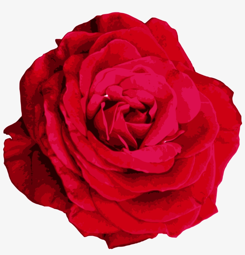 The Gallery For Gt Watercolor Flower Png - Hybrid Tea Rose, transparent png