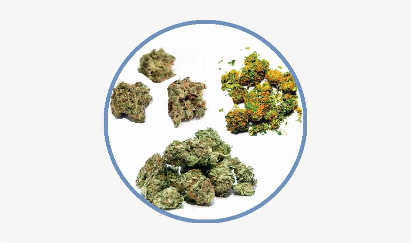 About Marijuana - Horizon Observatory, transparent png