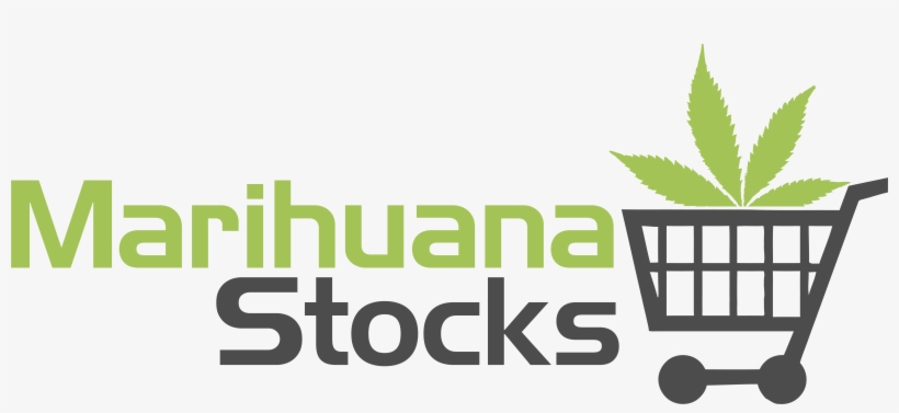 Let Love Grow - Harborside Health Center, transparent png