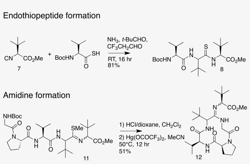 Key Steps In Alternative Macrocycle Synthesis - Macrocycle, transparent png