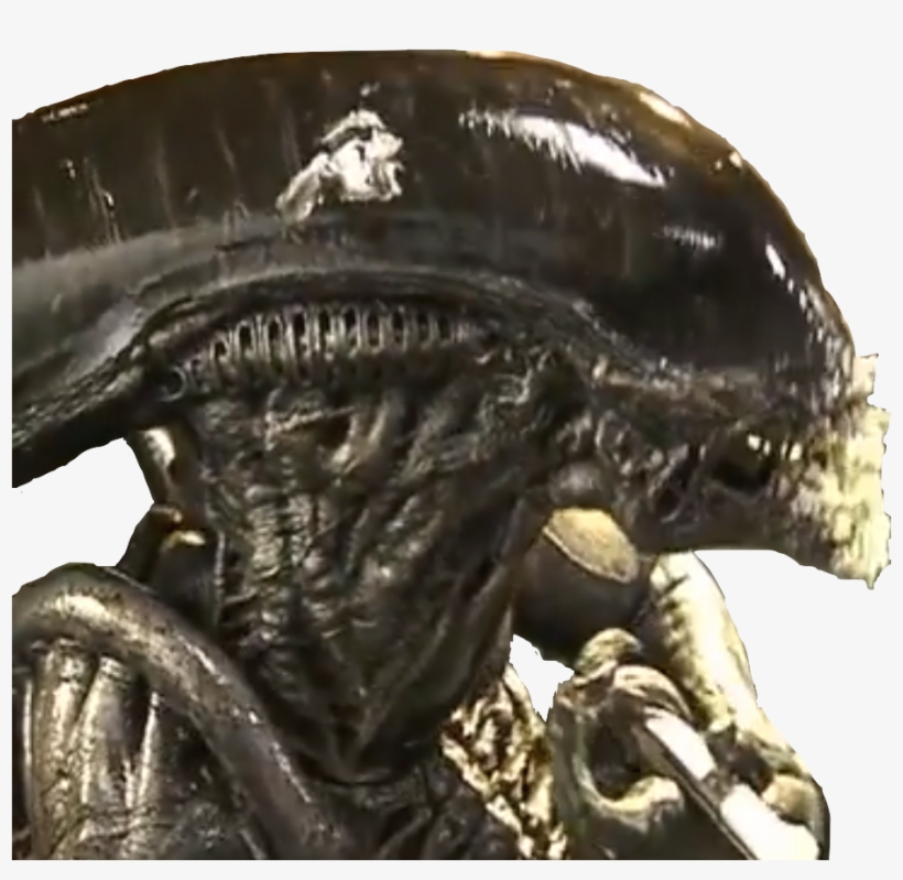 Cakexeno - Statue, transparent png