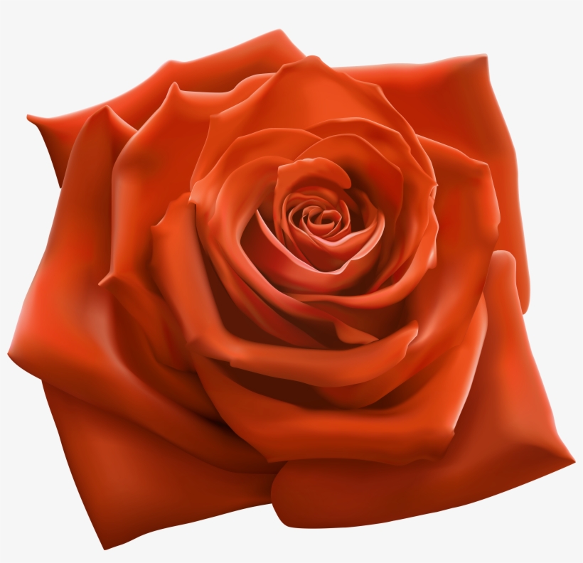 Orange Rose Png Clipart Image - Snoop Dogg 220 Album, transparent png
