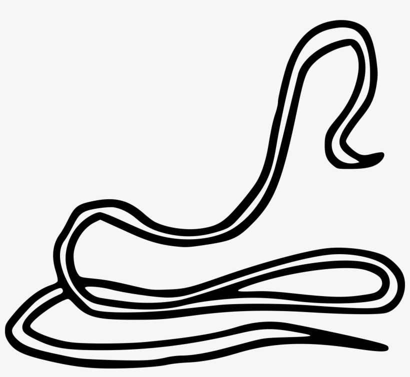 Worm Dracunculiasis Dracunculus Medinensis Parasitism - Guinea Worm Clip Art, transparent png