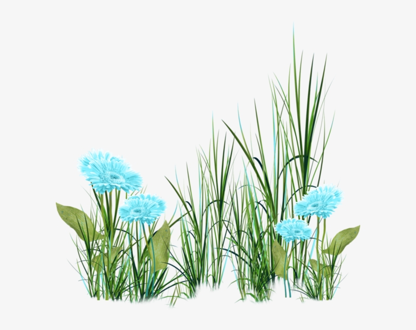 Visit - Imagens De Grama E Flores Png, transparent png