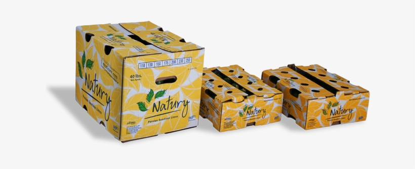 31 89k Fondo Natury 31 May 2012 - Box, transparent png