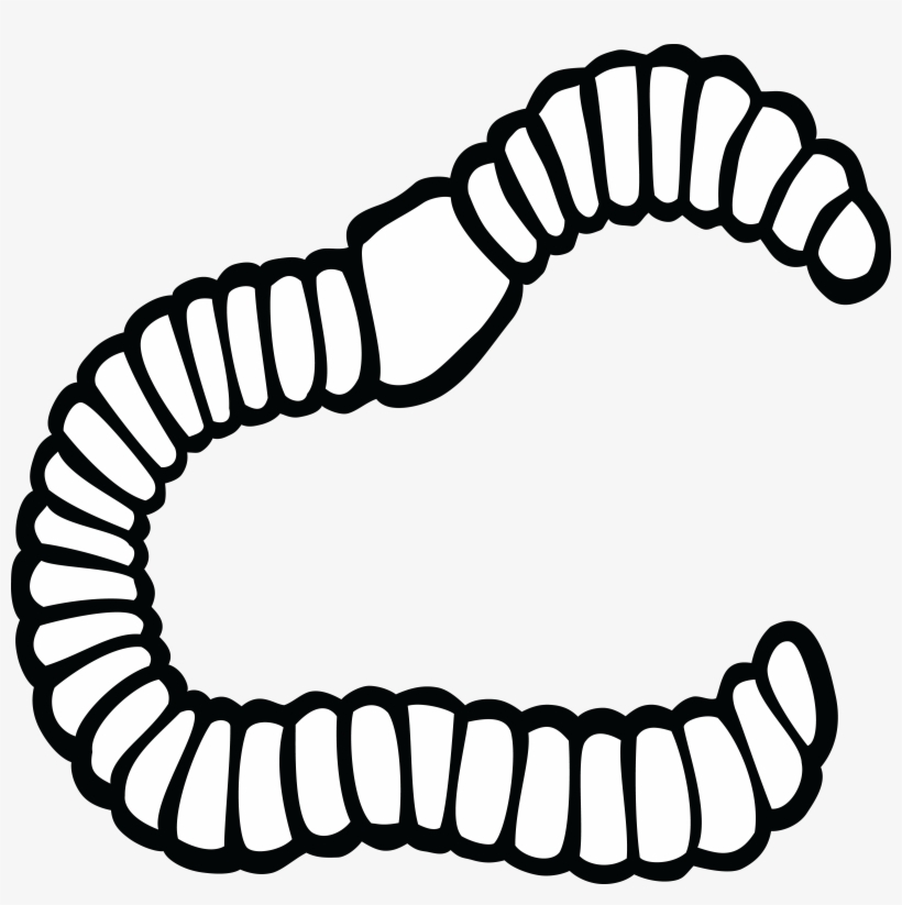 , , - Clipart Black And White Earthworm, transparent png