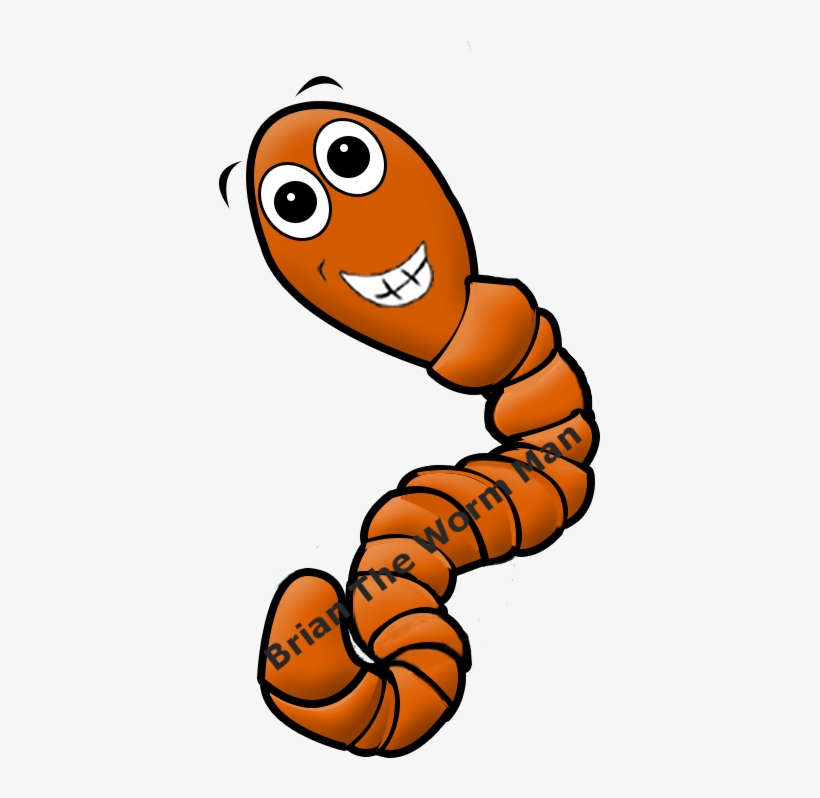 Www.thewormman.com.au, transparent png