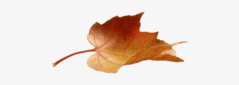 Portable Network Graphics, transparent png