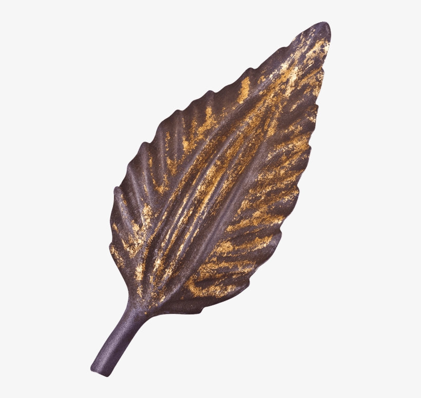 Plum & Gold Leaf - Shell, transparent png
