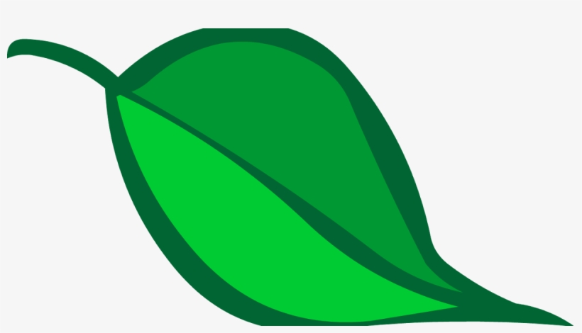 Hoja Png, transparent png