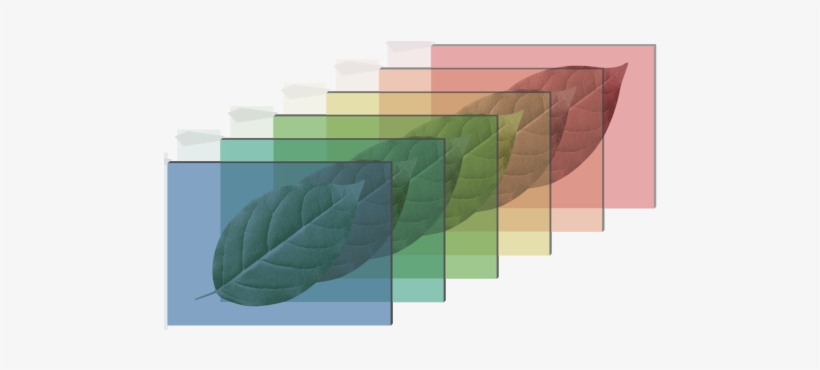 Hyperspectral Hoja 2 - Portable Network Graphics, transparent png