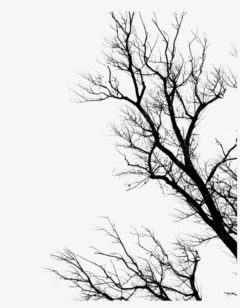 Trees Sticker - Dead By Daylight Trees Transparent, transparent png