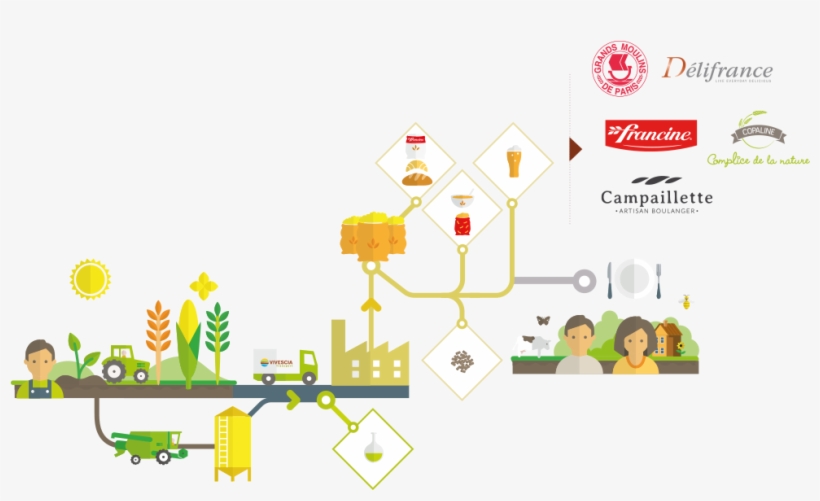 Du Producteur Au Consommateur - Illustration, transparent png