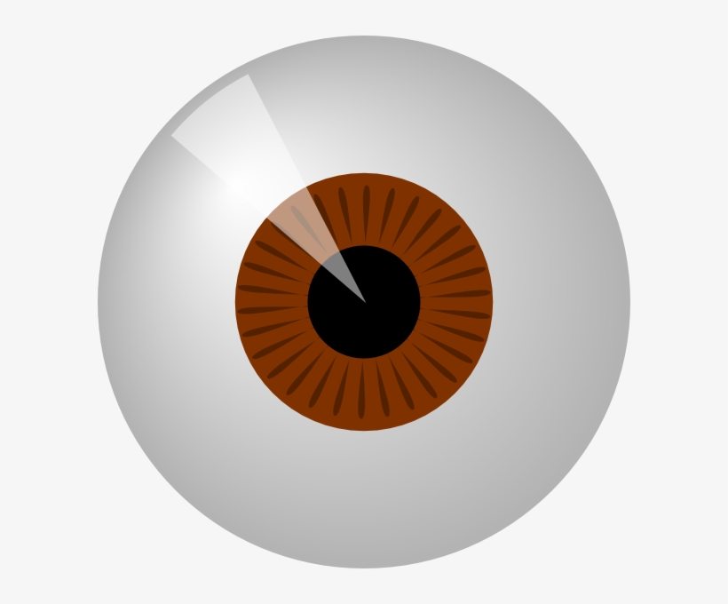 Hazel Eyes Clipart Round Eye - Eye Clip Art, transparent png