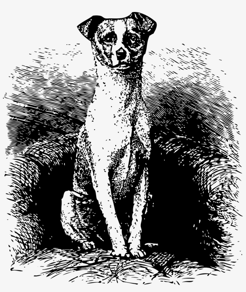 Dog Pet Animal - Clip Art, transparent png
