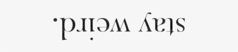 Weird, Quotes, And Stay Image - Weird Quotes White Background, transparent png
