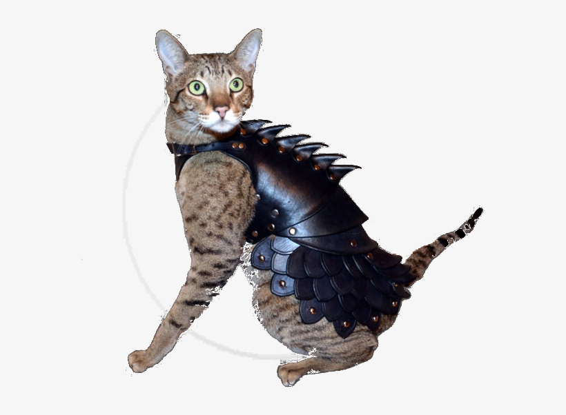 Cat Vs - Cat Armor, transparent png