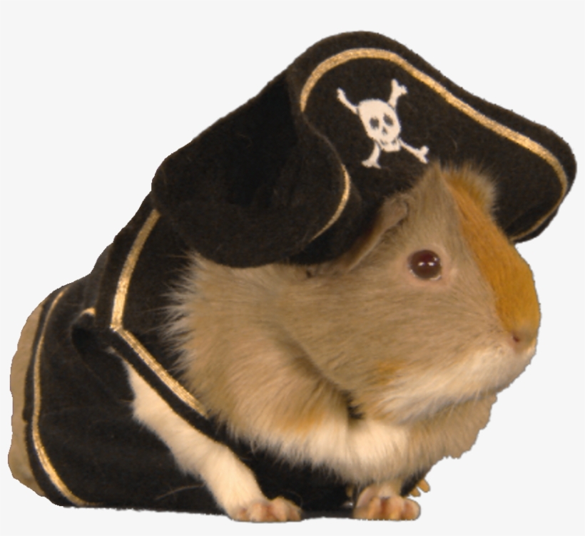 Guinea Pigs Stripe - Striped Guinea Pig South Park, transparent png