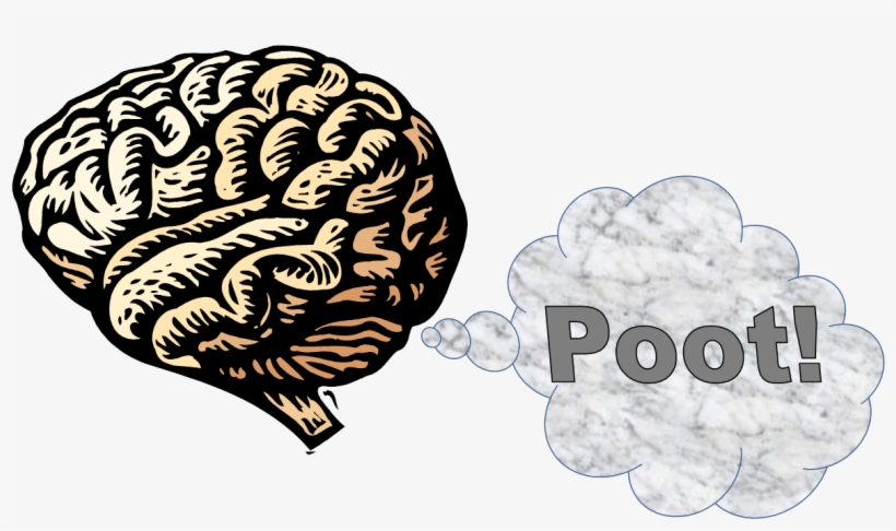 Brain-fart - Environmental Influences On Development Of The Brain, transparent png