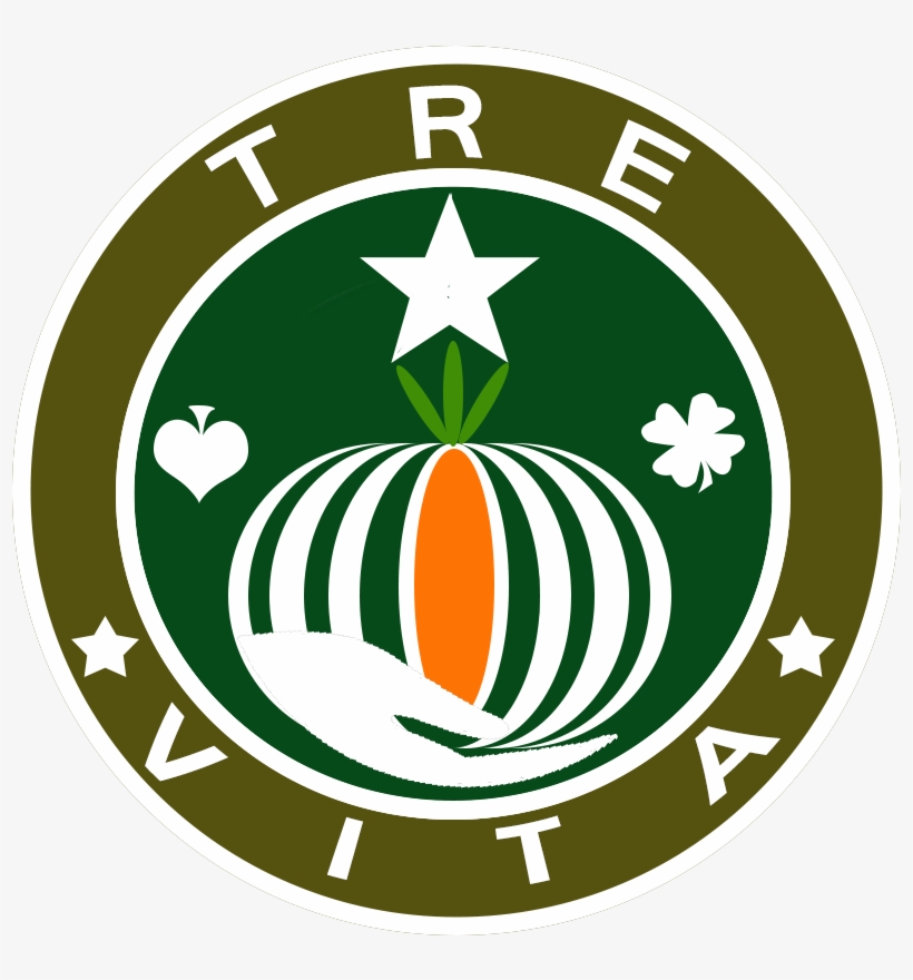 Comida Organica - Areca Palm, transparent png