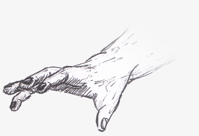 Transparent Download Collection Of Free Sketch Download - Hand Drawing Transparent, transparent png